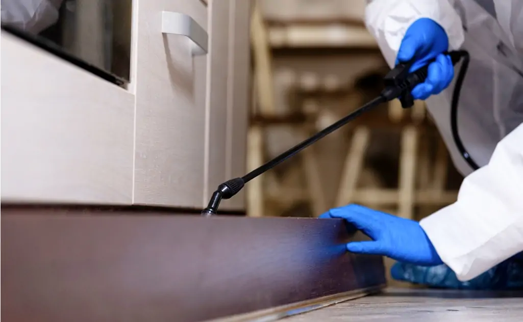 害虫防除 イメージ画像