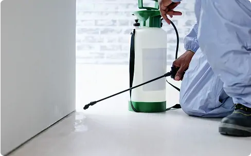 NEEDS事業(グリストラップ清掃・害虫防除・業務用レンジフィルター)